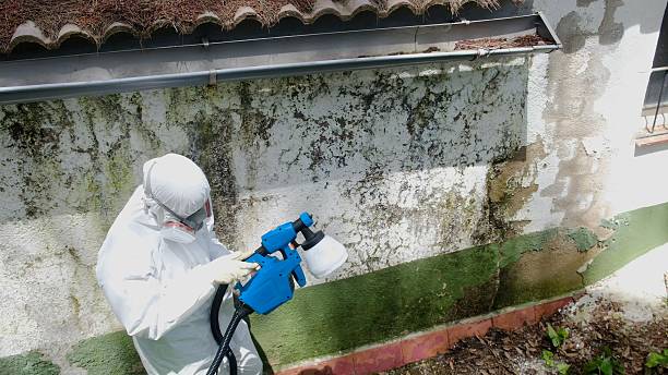 Top rated local Mold Remediation specialists in Fairfield, NJ